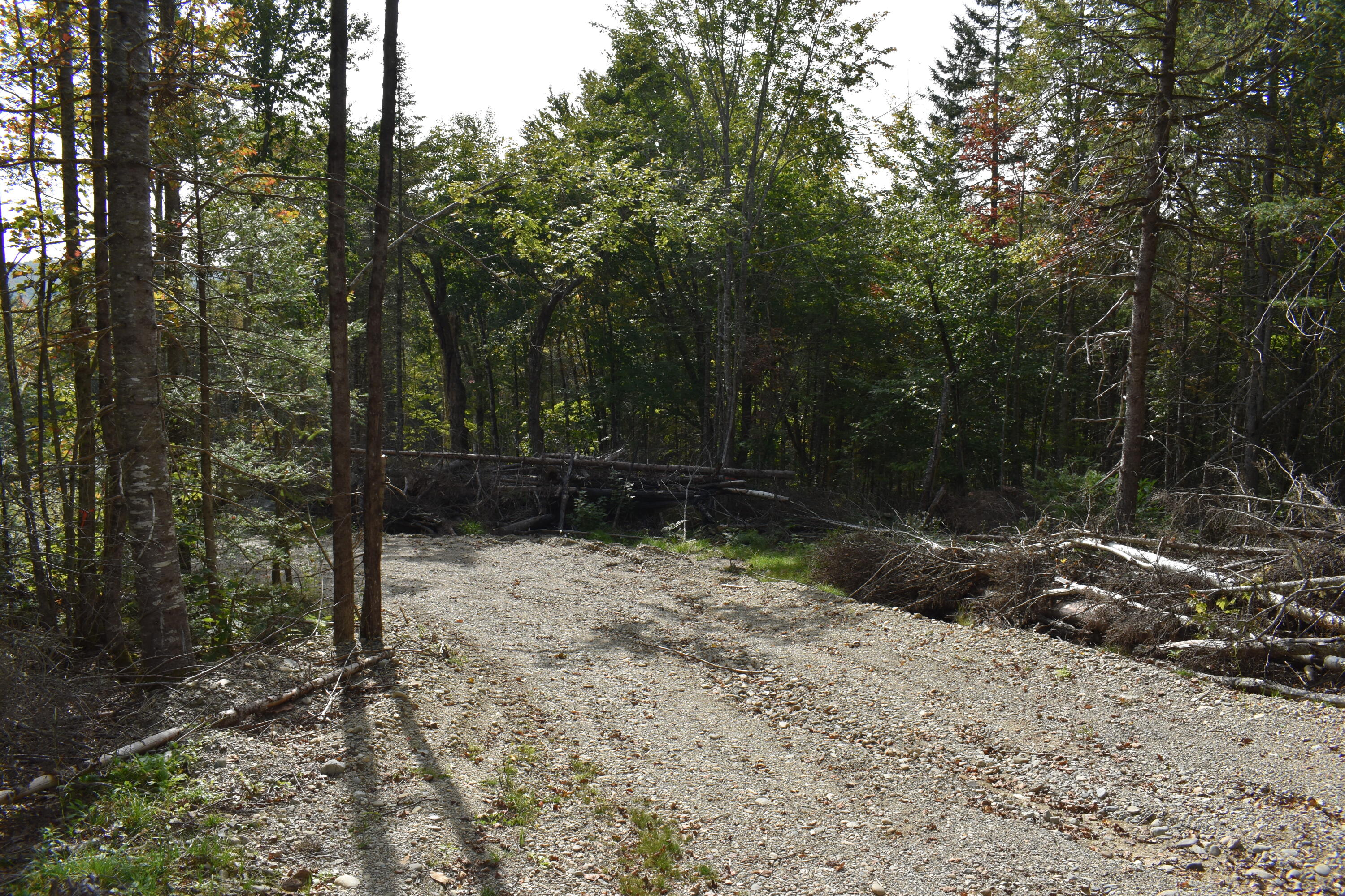 Tbd Moores Road Springfield, ME 04487 - Photo 7 of 22 DSC_0386