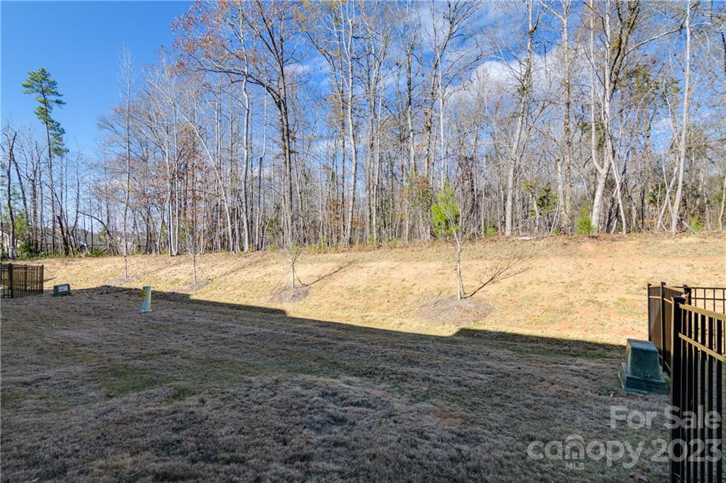 2036 Suttonview Road Fort Mill, SC 29708 - Photo 22 of 37 a view of road with large trees