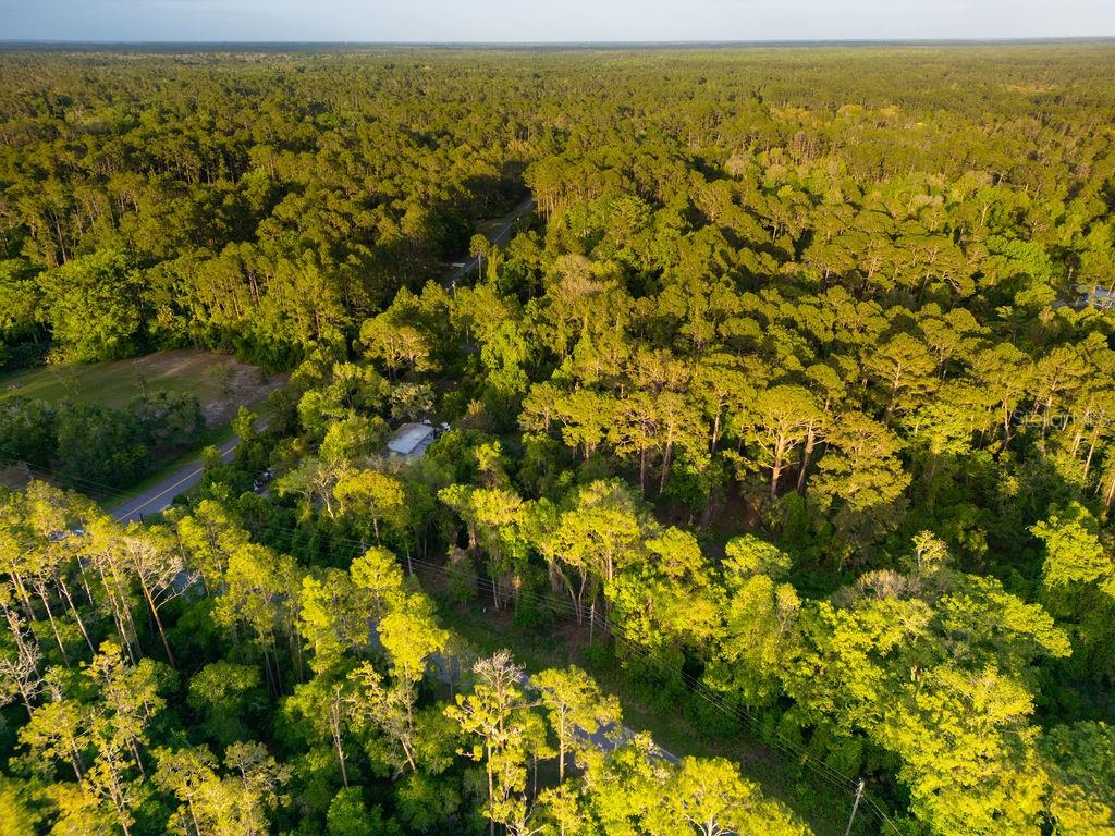 172 Whispering Pines Road Georgetown, FL 32139 - Photo 11 of 13