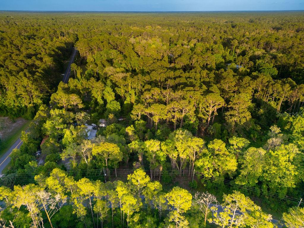 172 Whispering Pines Road Georgetown, FL 32139 - Photo 12 of 13