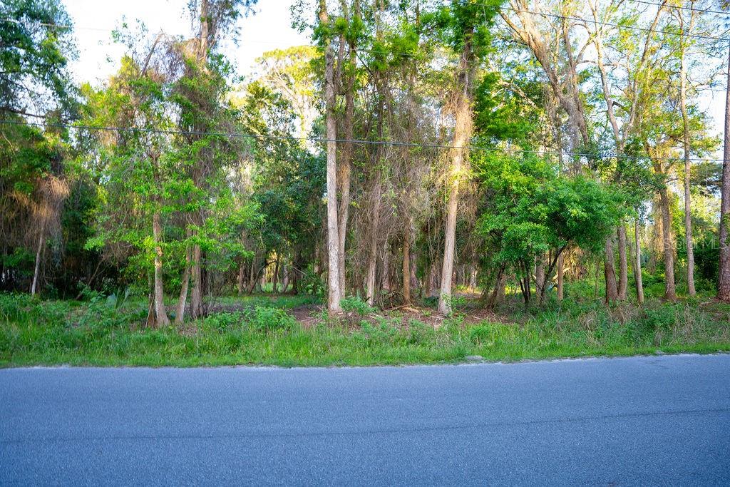 172 Whispering Pines Road Georgetown, FL 32139 - Photo 3 of 13