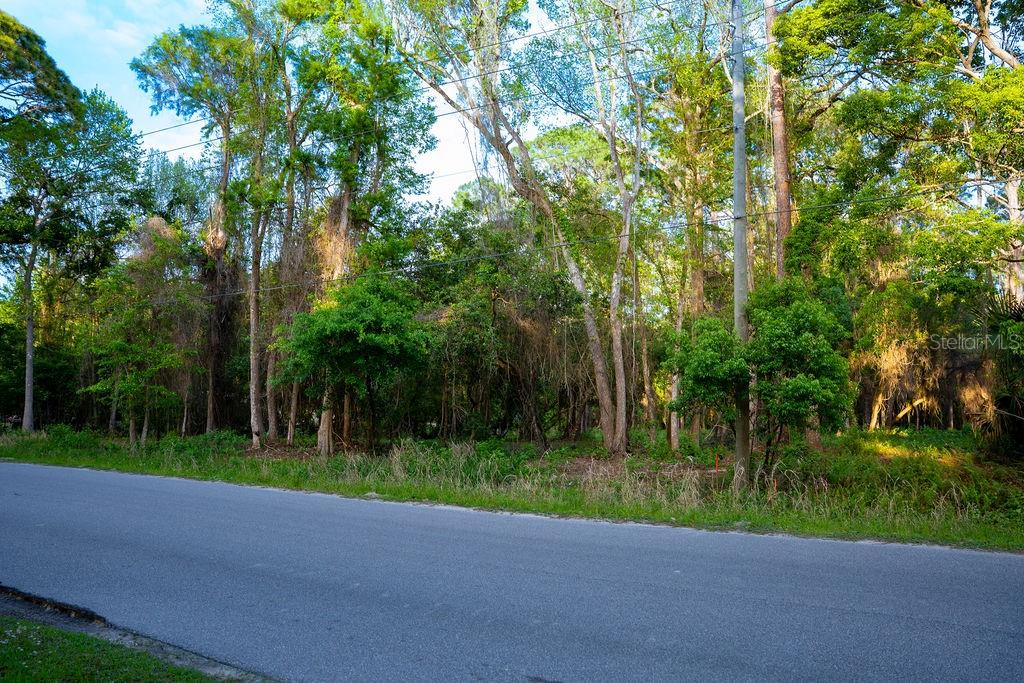 172 Whispering Pines Road Georgetown, FL 32139 - Photo 4 of 13