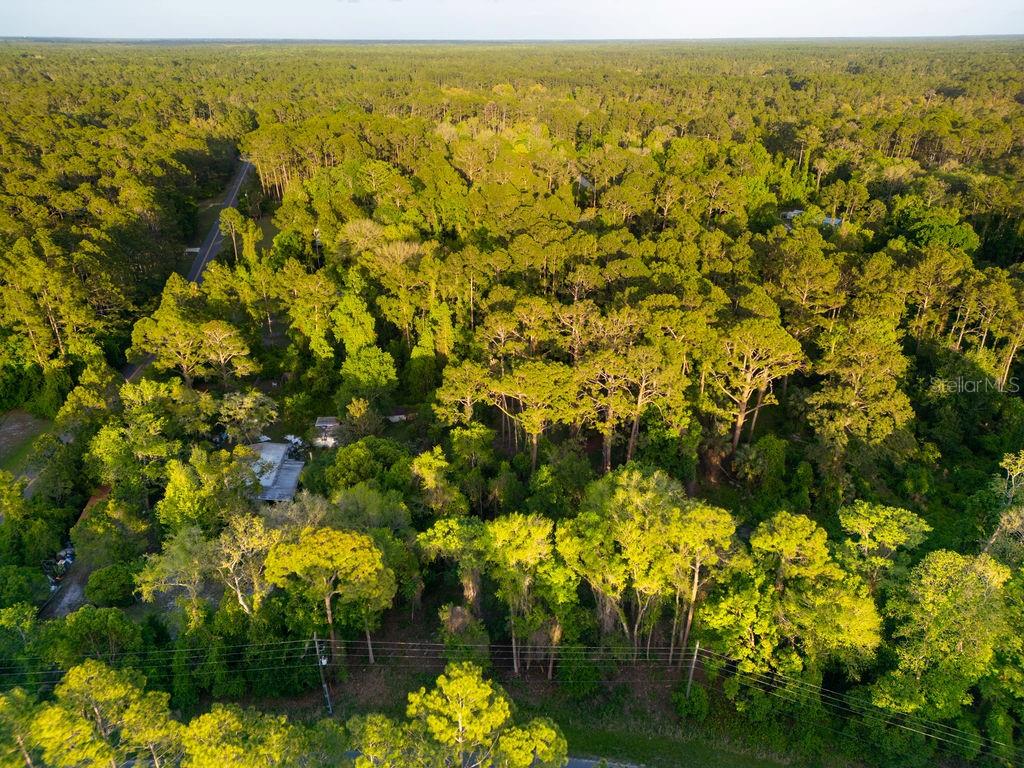 172 Whispering Pines Road Georgetown, FL 32139 - Photo 7 of 13
