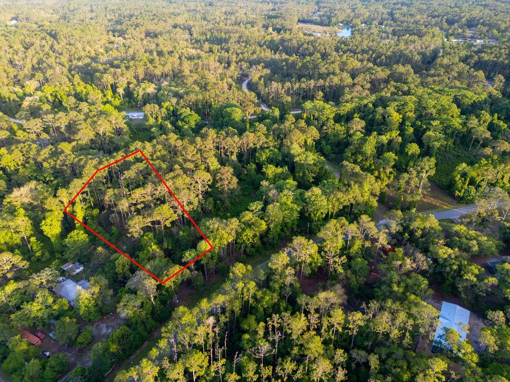 172 Whispering Pines Road Georgetown, FL 32139 - Photo 8 of 13
