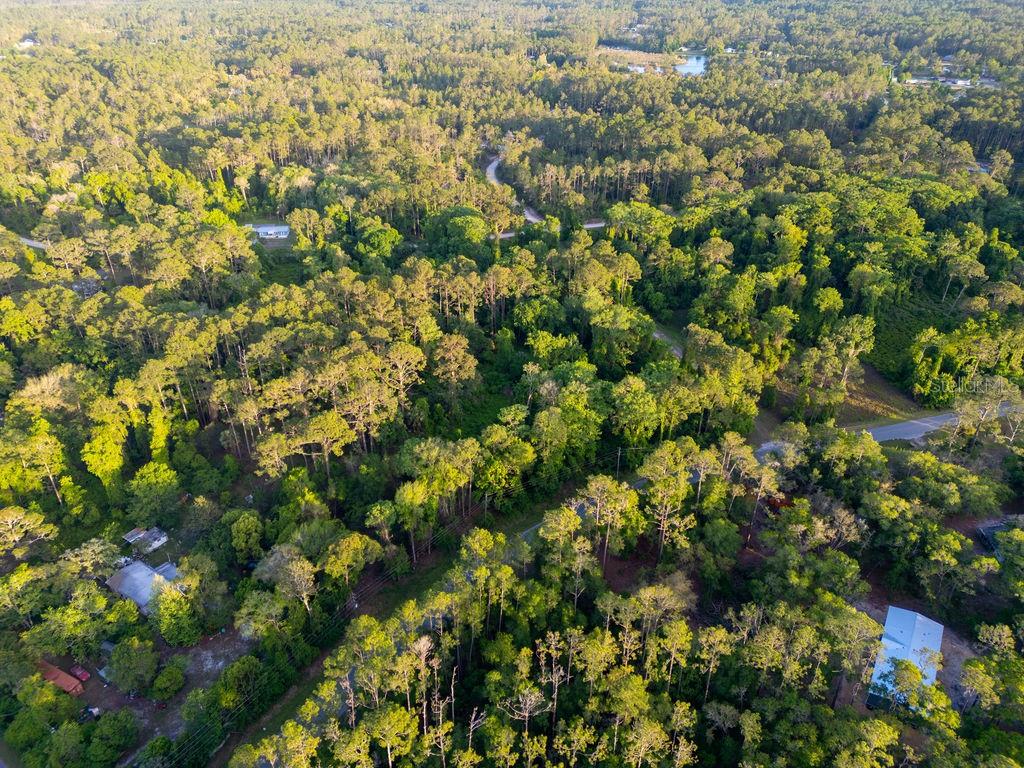 172 Whispering Pines Road Georgetown, FL 32139 - Photo 9 of 13