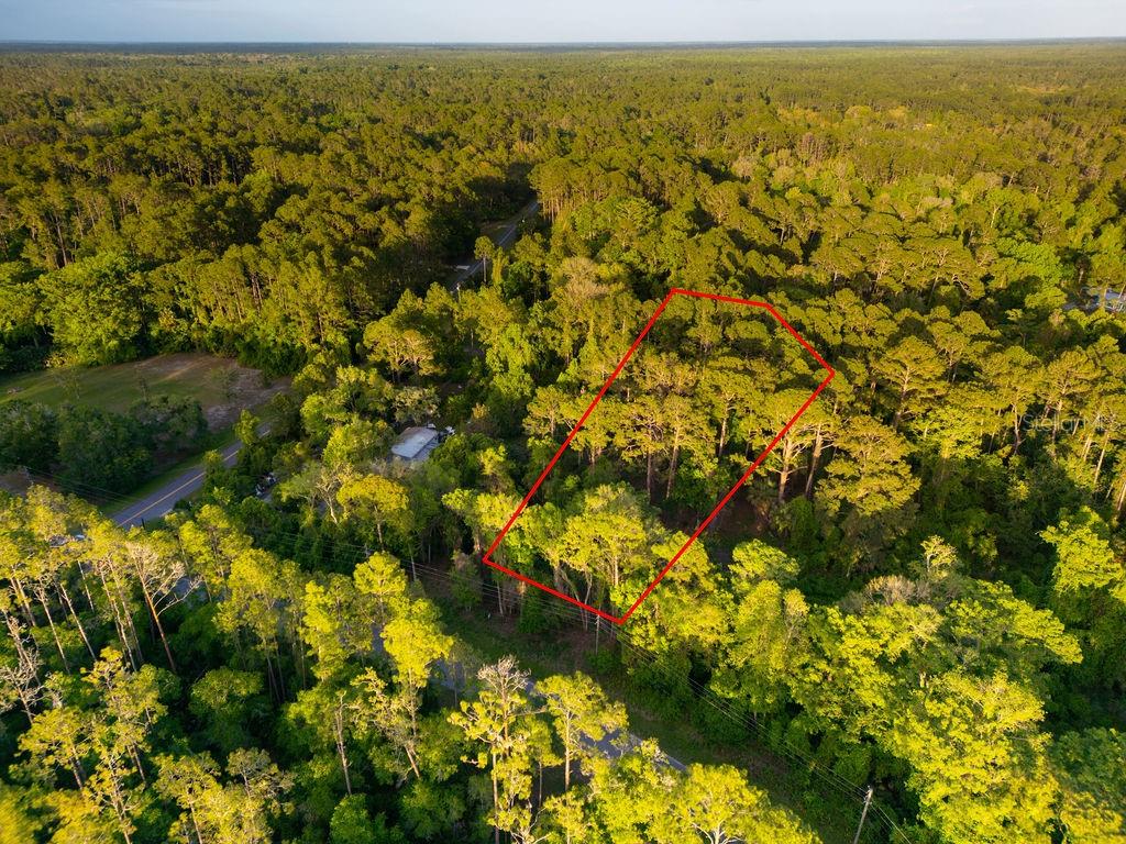 172 Whispering Pines Road Georgetown, FL 32139 - Photo 10 of 13