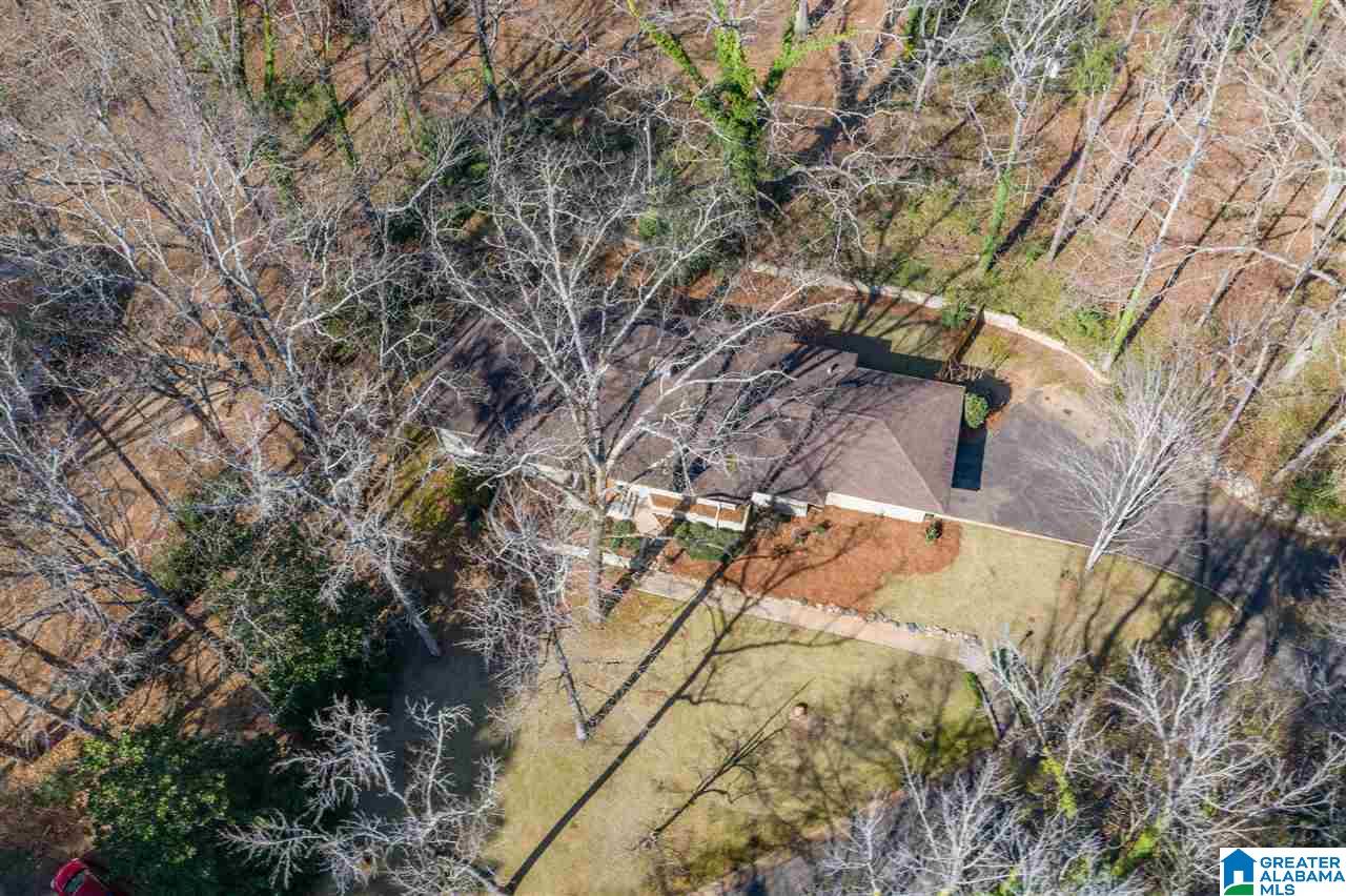 203 Primrose Path Sylacauga, AL 35150 - Photo 8 of 43