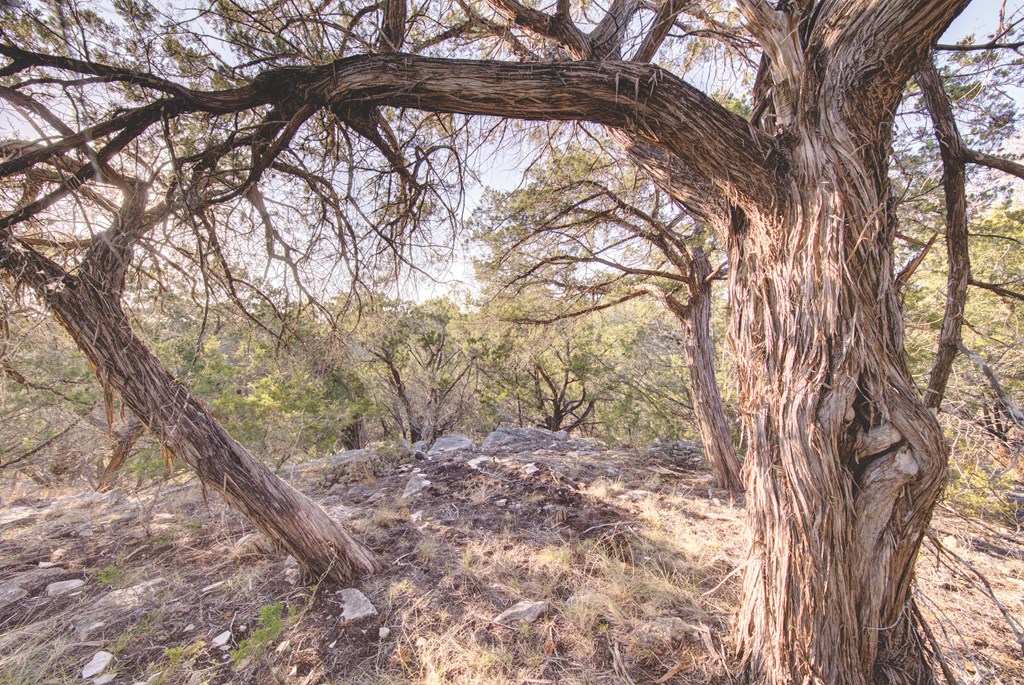 340 River Bend Road West Hunt, TX 78024 - Photo 25 of 55