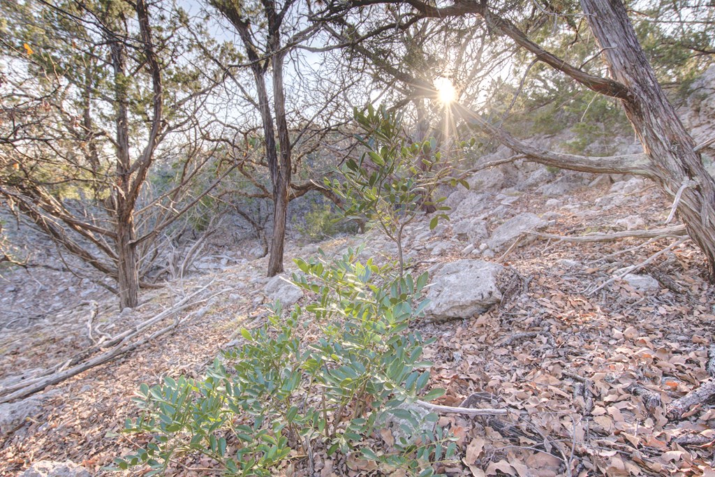 340 River Bend Road West Hunt, TX 78024 - Photo 29 of 55