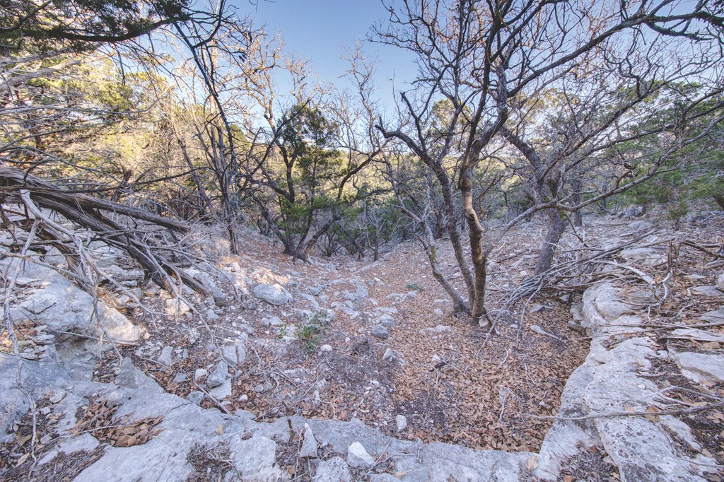 340 River Bend Road West Hunt, TX 78024 - Photo 30 of 55