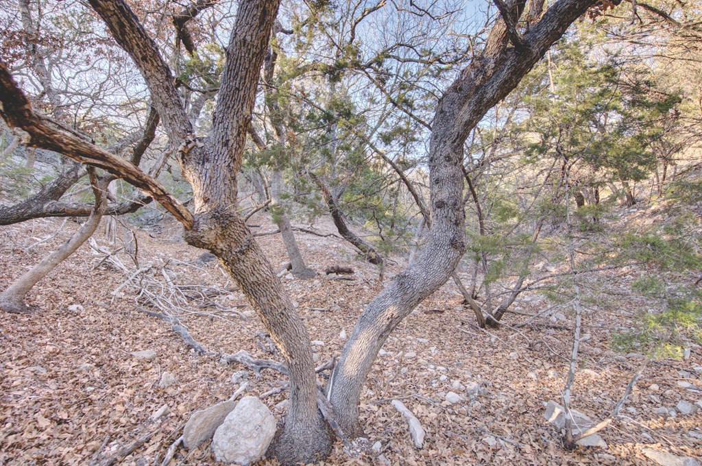 340 River Bend Road West Hunt, TX 78024 - Photo 34 of 55