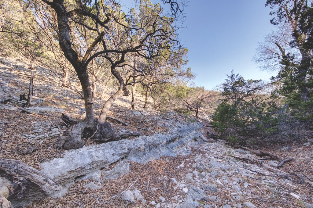 340 River Bend Road West Hunt, TX 78024 - Photo 35 of 55