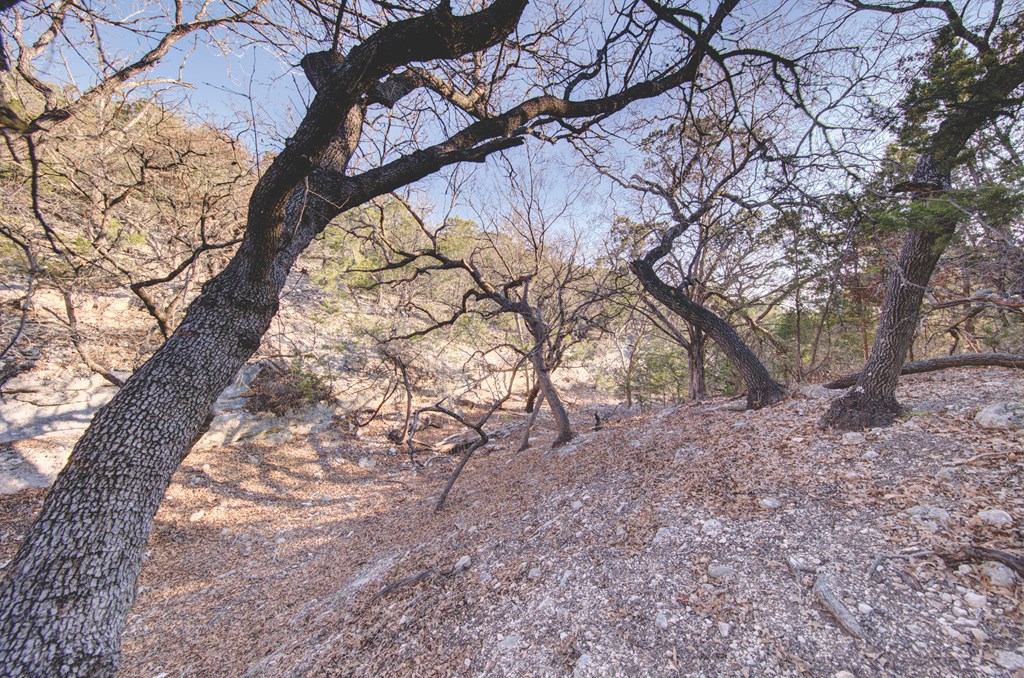 340 River Bend Road West Hunt, TX 78024 - Photo 36 of 55