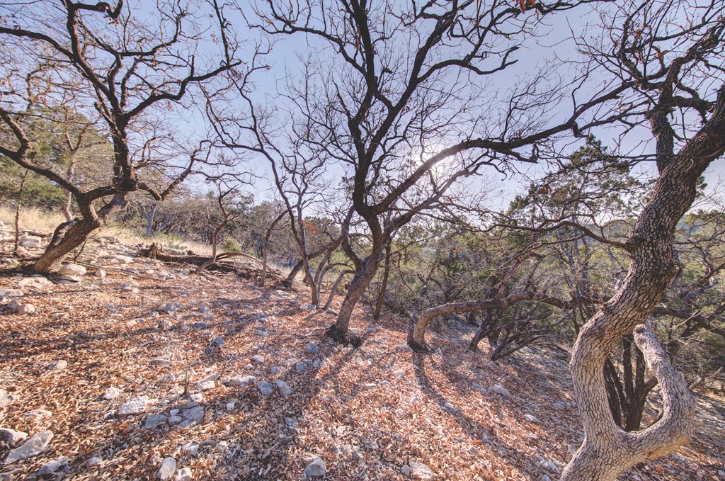 340 River Bend Road West Hunt, TX 78024 - Photo 41 of 55