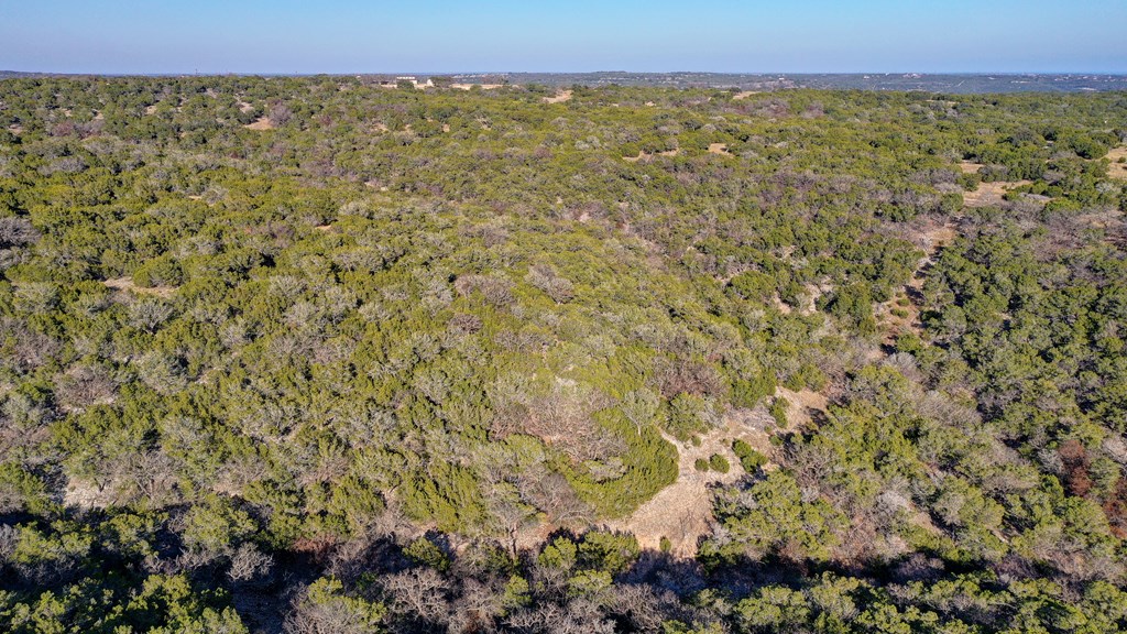 340 River Bend Road West Hunt, TX 78024 - Photo 7 of 55