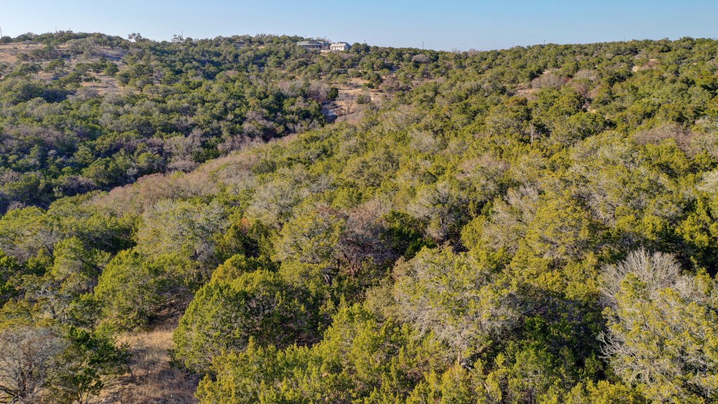 340 River Bend Road West Hunt, TX 78024 - Photo 8 of 55
