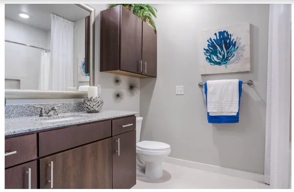 a bathroom with a toilet a sink and mirror