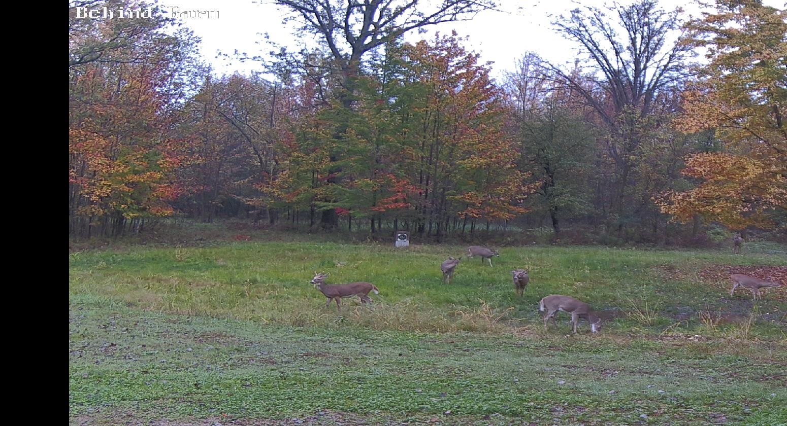 2250 North Coleman Road Coleman, MI 48618 - Photo 64 of 66