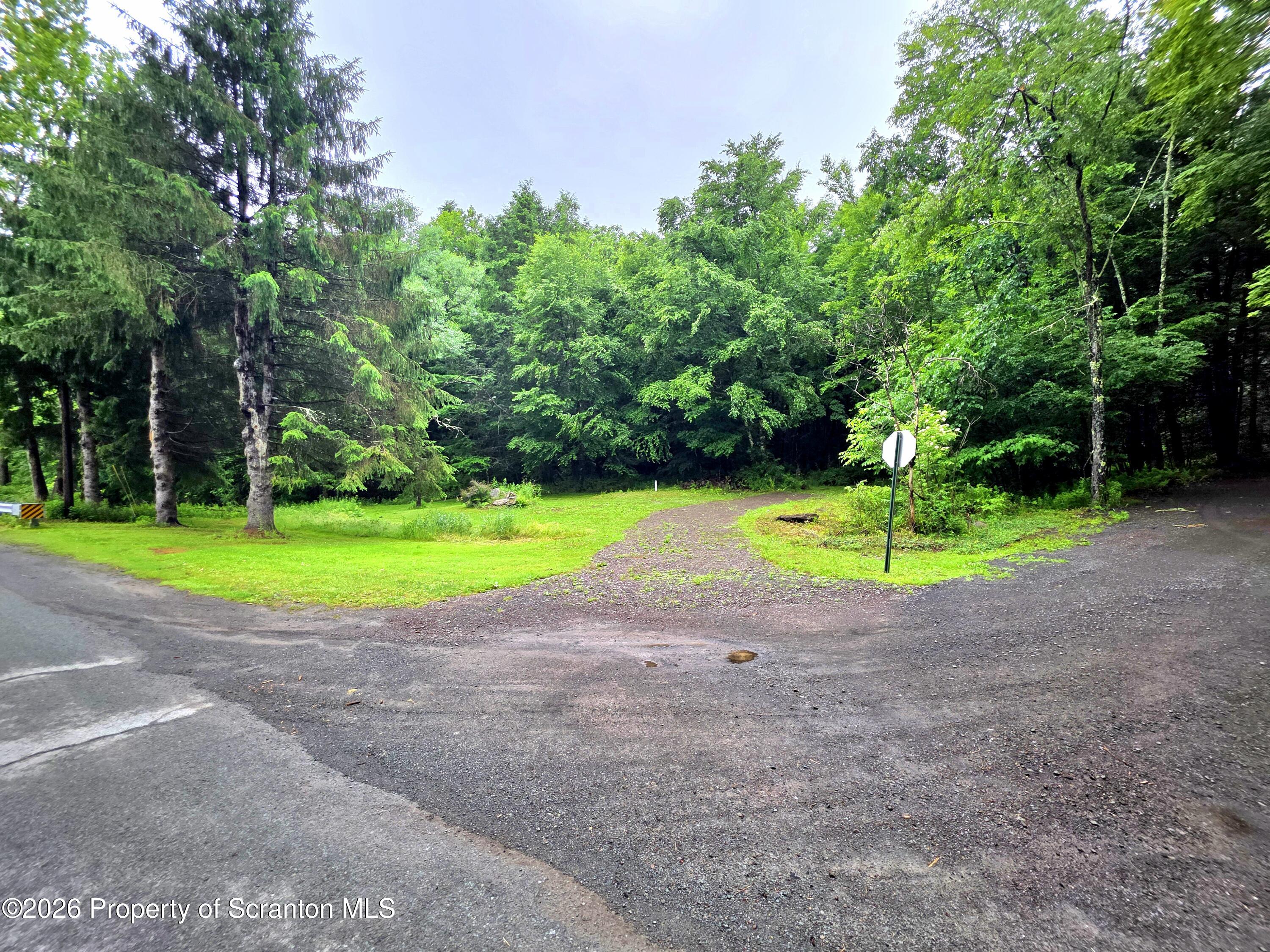 Pratt Hollow Road Nicholson, PA 18446 - Photo 17 of 18 Road View