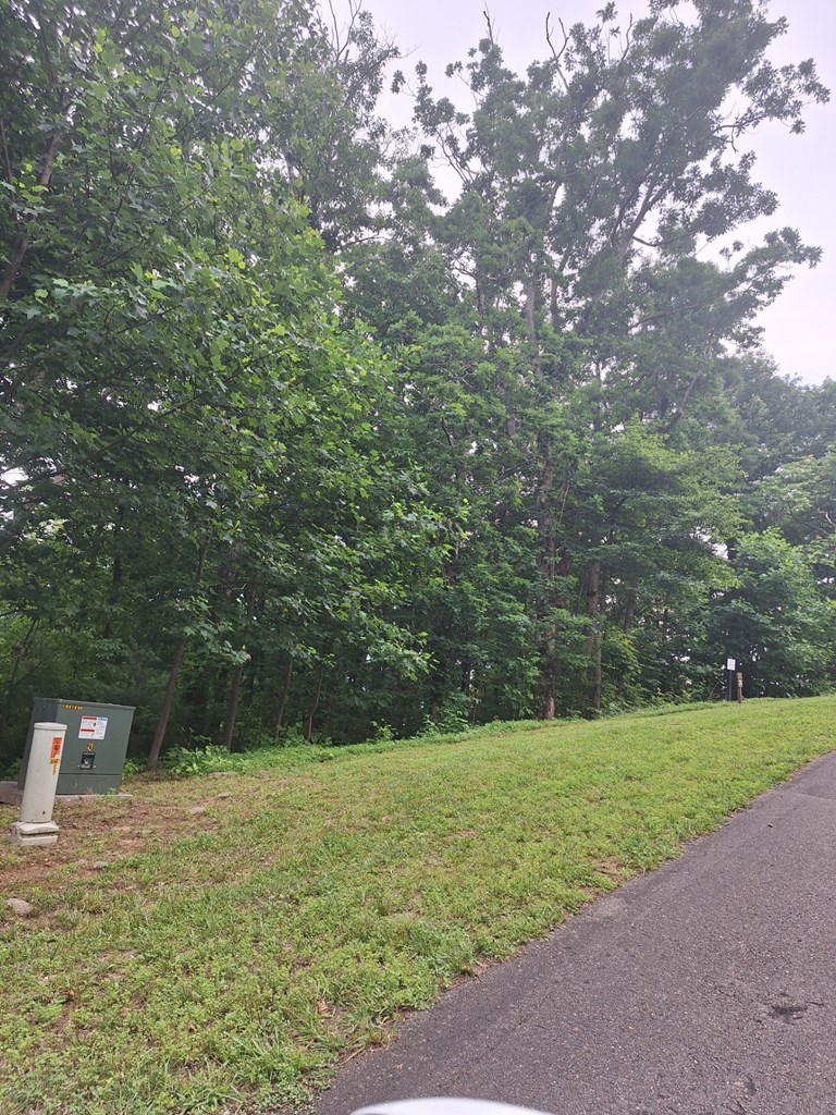 274 Andes Ridge Morganton, GA 30560 - Photo 14 of 24 leaving the property