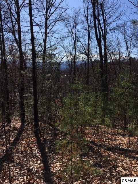 128 Bluff Mountain Road Sevierville, TN 37862 - Photo 5 of 6 Gallery Image 5