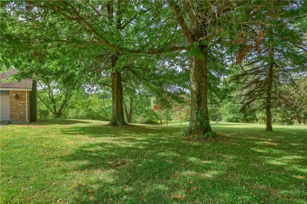 566 Zeigler Road Rochester, PA 15074 - Photo 4 of 50 a big yard with lots of green space and trees