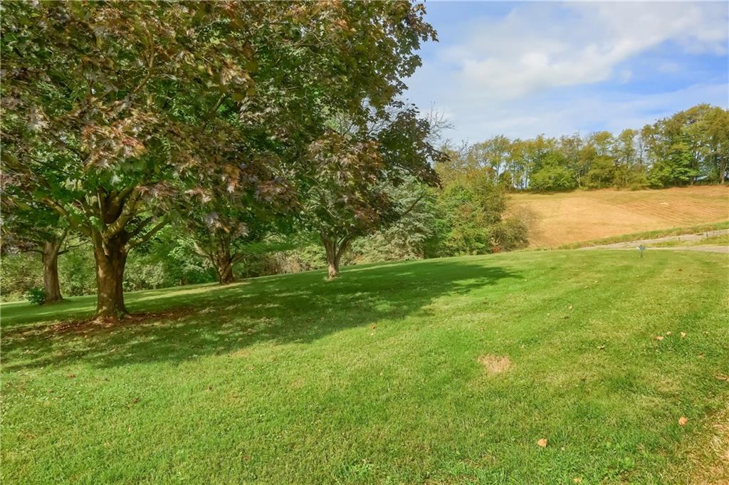 566 Zeigler Road Rochester, PA 15074 - Photo 7 of 50 a view of a field with a tree in front of it