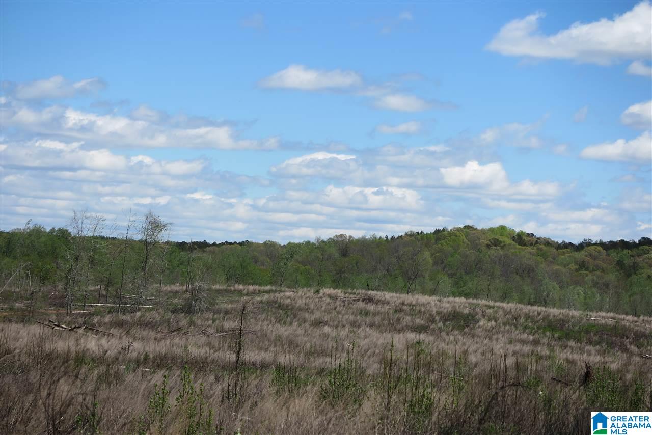 178 County Road, Unit 212 Five Points, AL 36855 - Photo 1 of 7