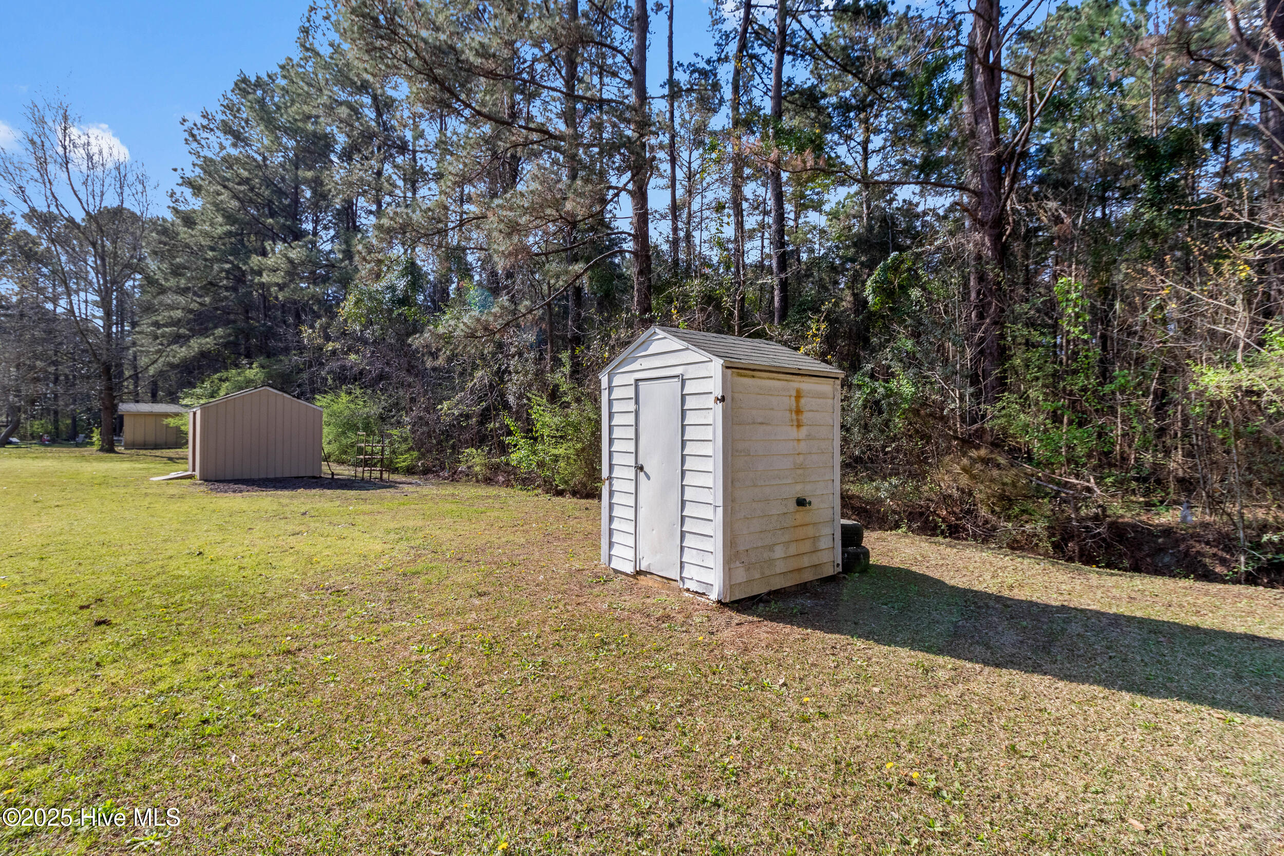 406 Arvida Spur Road Rocky Point, NC 28457 - Photo 42 of 42 42_shed