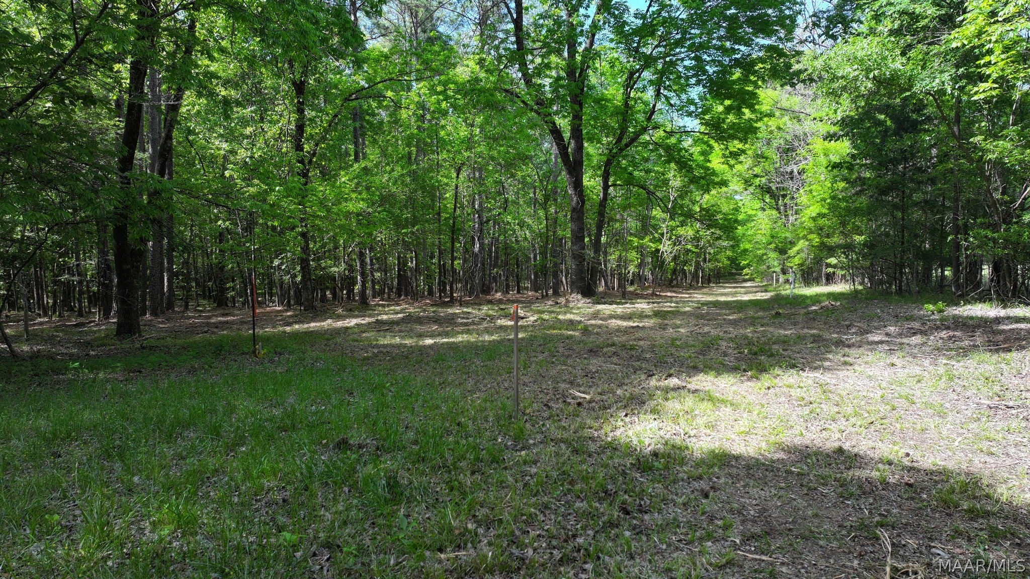 263 Edgewood Court Mathews, AL 36052 - Photo 4 of 7 Gallery Image 4