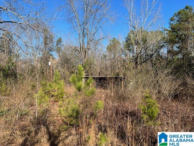 1271 West Ashby Road, Unit 94 ACRES Brierfield, AL 35035 - Photo 3 of 4