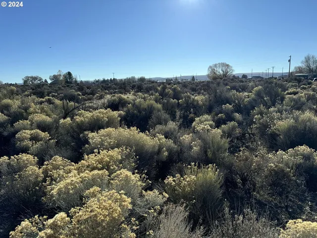 a view of a bunch of trees and cars