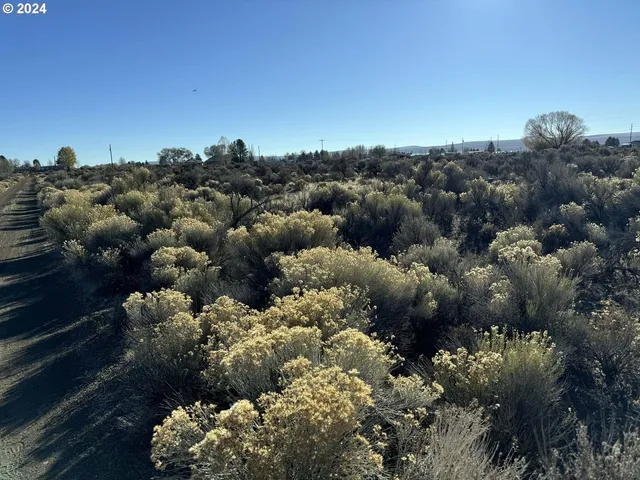 $5,000 | Alder Street, Unit TL 2600, Christmas Valley, OR 97641