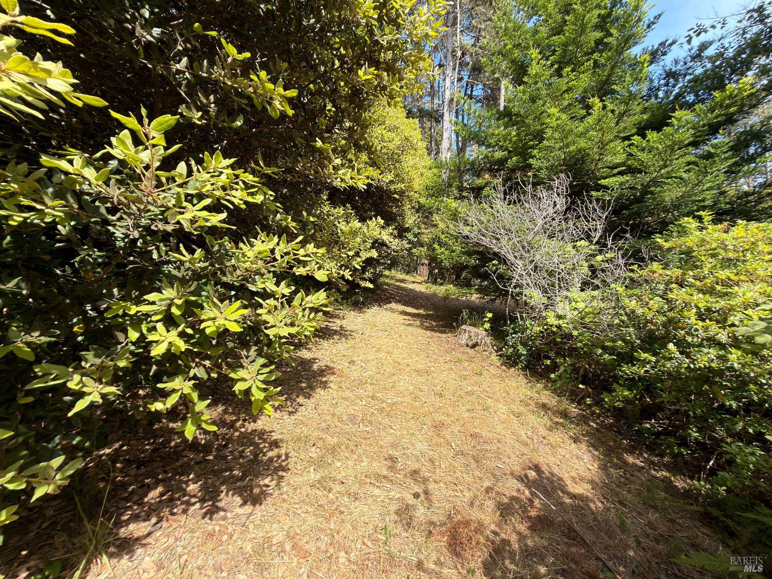 76 Compass Close The Sea Ranch, CA 95497 - Photo 9 of 29