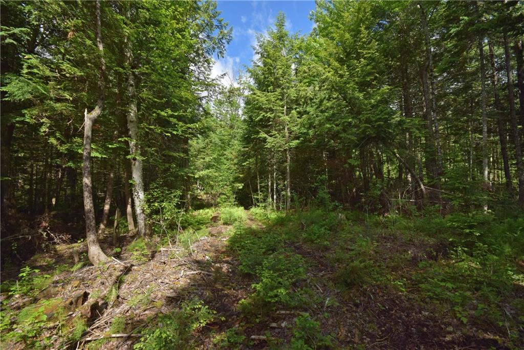 Lot 14 Little Stream Road Lincoln, ME 04457 - Photo 6 of 9 Photo