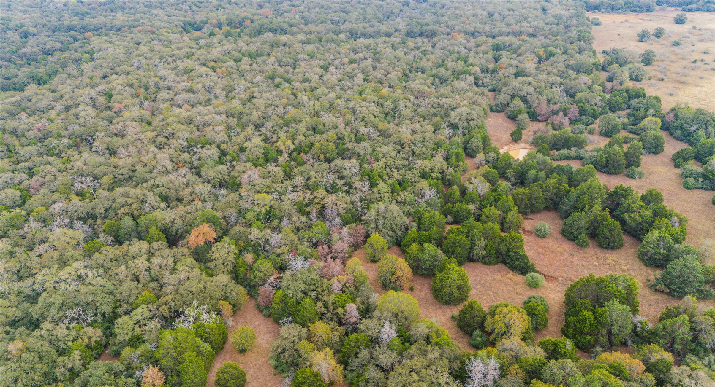Tbd North County Road East, Unit 415 Lexington, TX 78947 - Photo 8 of 14