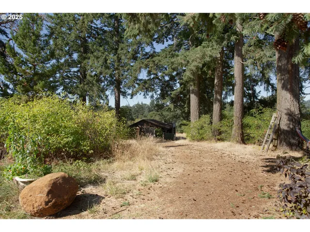 a view of a dry yard with trees