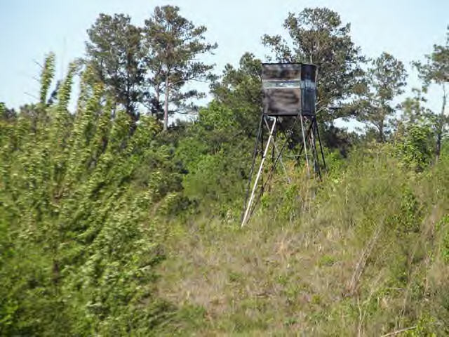 0 Allen Hill Road Tylertown, MS 39667 - Photo 1 of 1 Main View