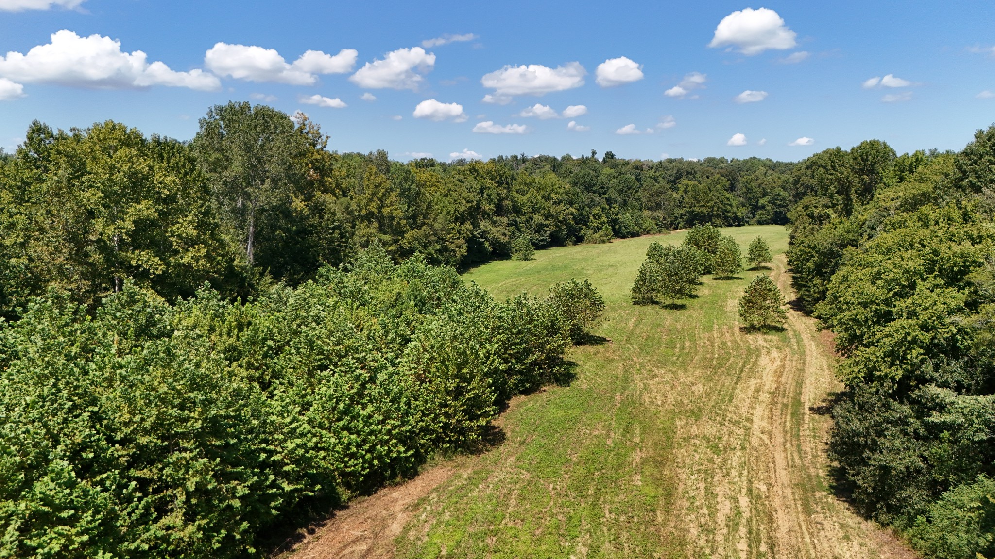 0 Call Road Obion, TN 38240 - Photo 40 of 40 Gallery Image 40