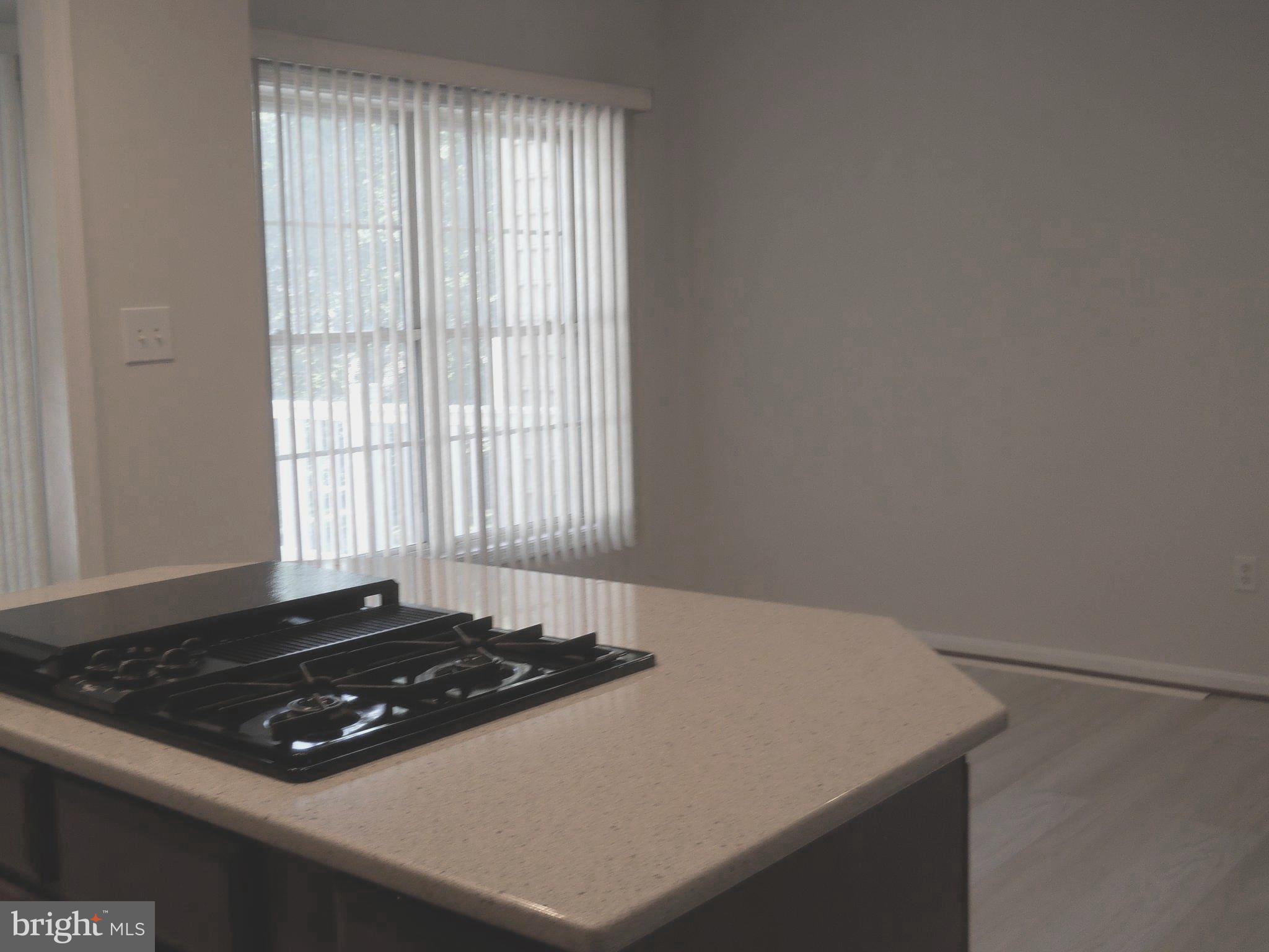 2807 Cornet Court Silver Spring, MD 20904 - Photo 13 of 44 a kitchen with a stove and a window
