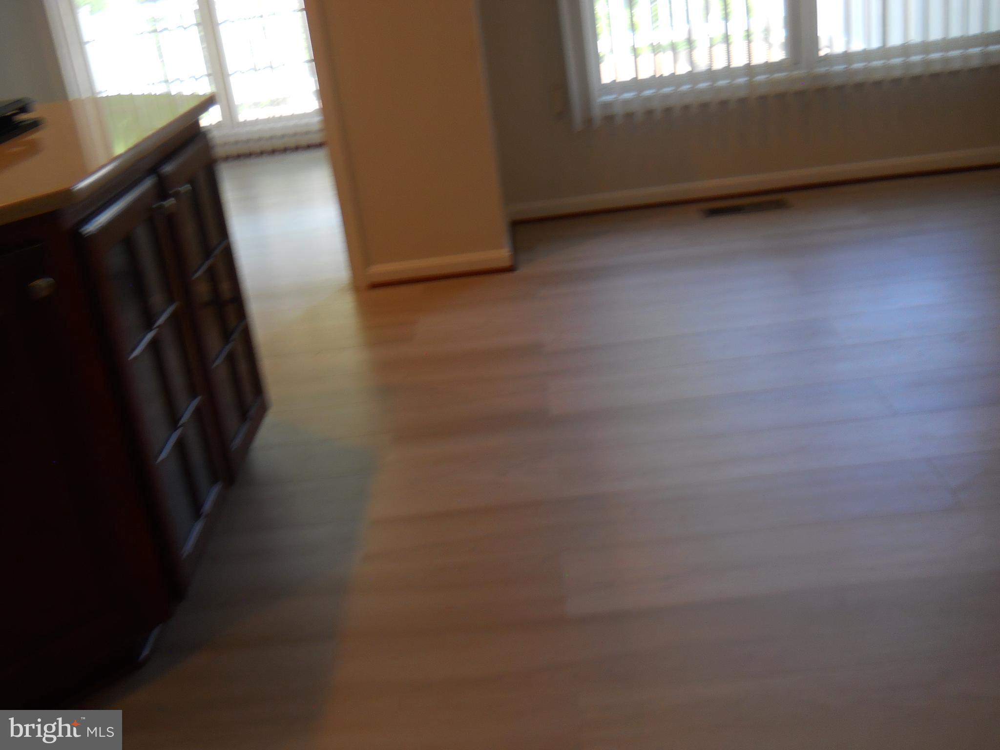 2807 Cornet Court Silver Spring, MD 20904 - Photo 21 of 44 a view of a hardwood and front door
