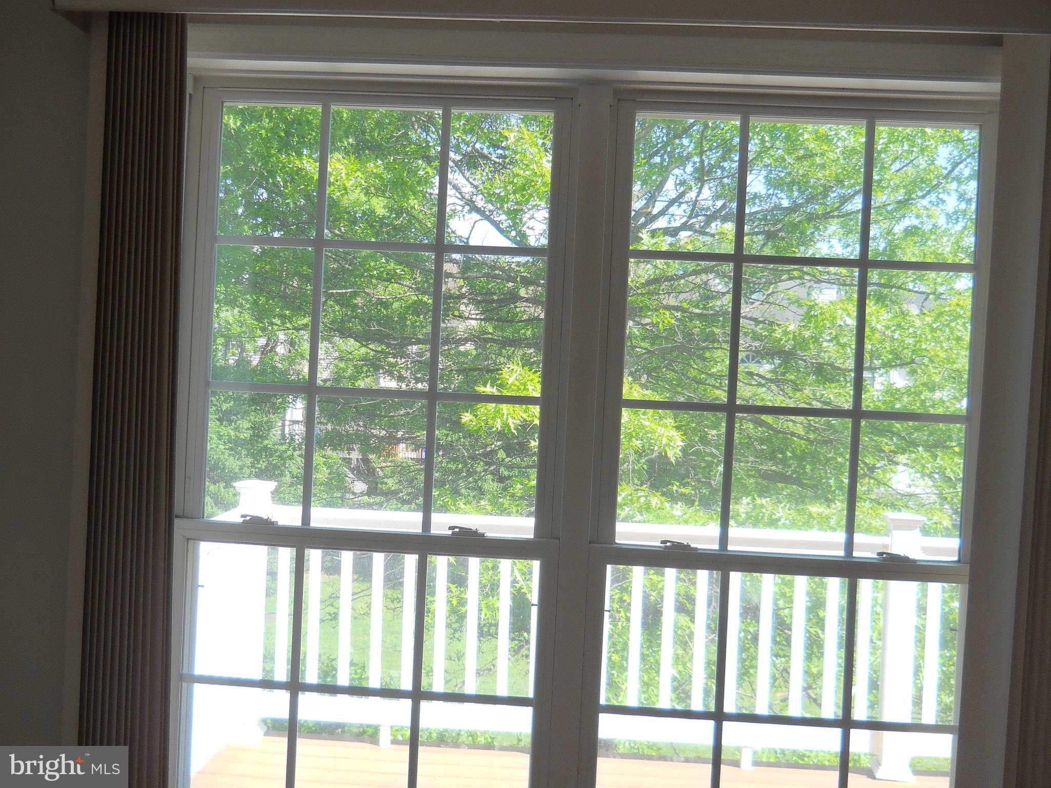 2807 Cornet Court Silver Spring, MD 20904 - Photo 25 of 44 a view of a room that has a trees in the yard