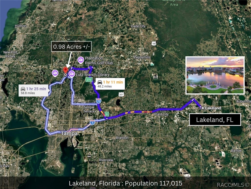 Tbd Blount Road Lutz, FL 33558 - Photo 19 of 33 Gallery Image 19