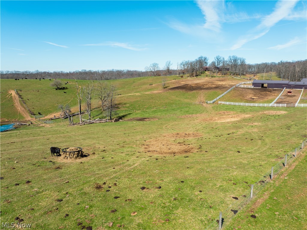 91100 Eckley Road Jewett, OH 43986 - Photo 5 of 7
