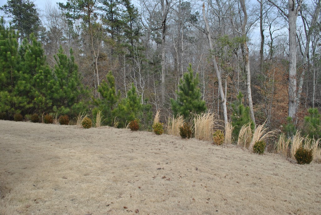 9536 English Ivy Court Fortson, GA 31808 - Photo 22 of 22 a road view with large trees