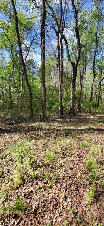 1642 Kersey Valley Road Archdale, NC 27263 - Photo 15 of 34