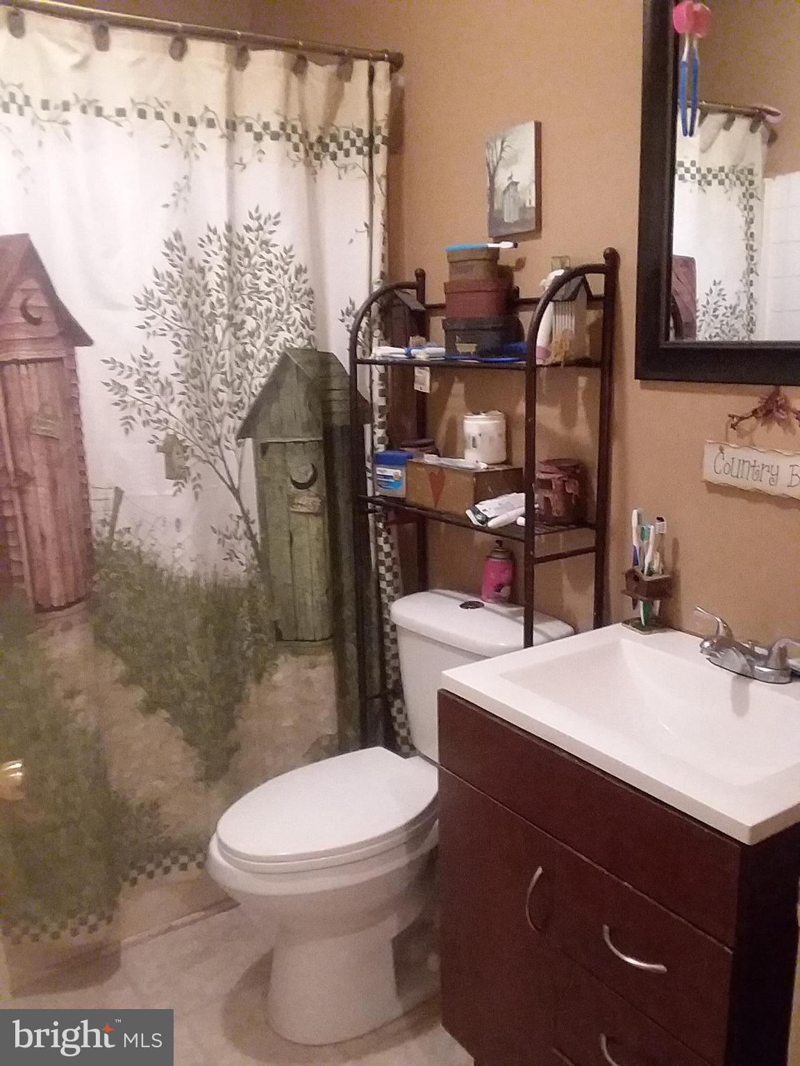 6186 Slate Mills Road Boston, VA 22713 - Photo 4 of 11 a bathroom with a sink a toilet and a mirror