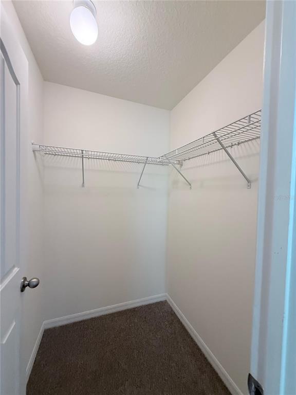 6876 Merrick Landing Boulevard Windermere, FL 34786 - Photo 31 of 47