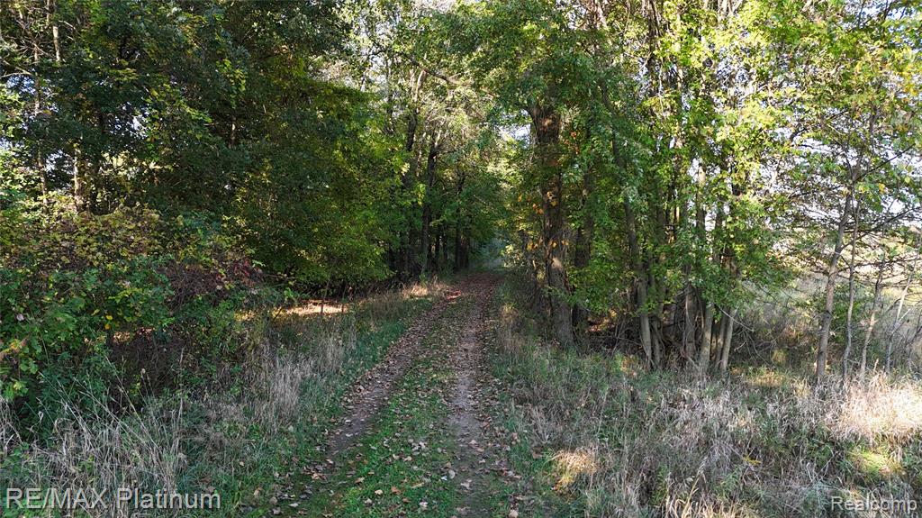 0 Chapman Road Stockbridge, MI 49285 - Photo 16 of 20