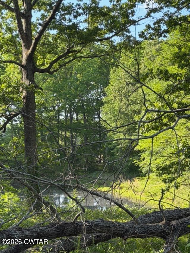 0 McBride Cemetery Road Sardis, TN 38371 - Photo 21 of 41 33